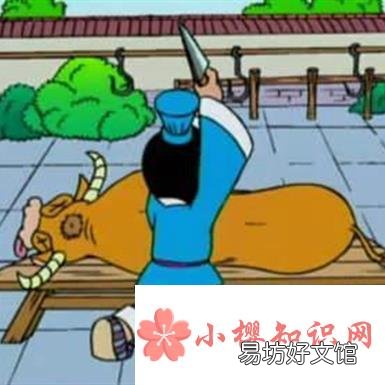 目无全牛形容什么？
