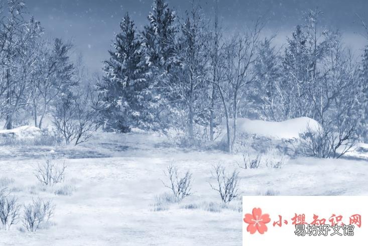 描写雪景的诗句有哪些?