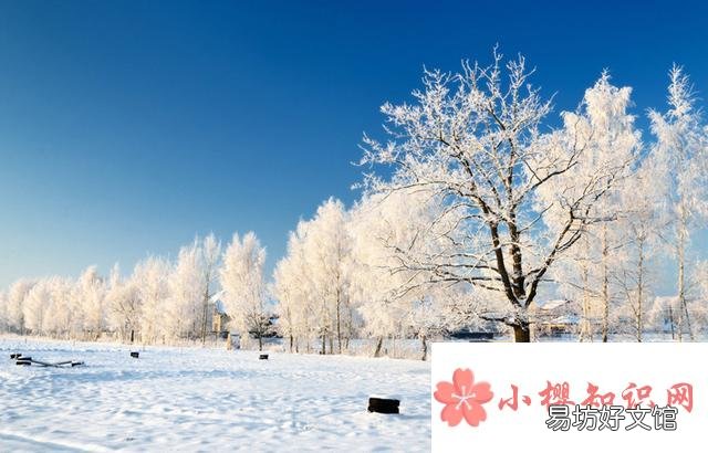 2020年三九天从什么时候开始?