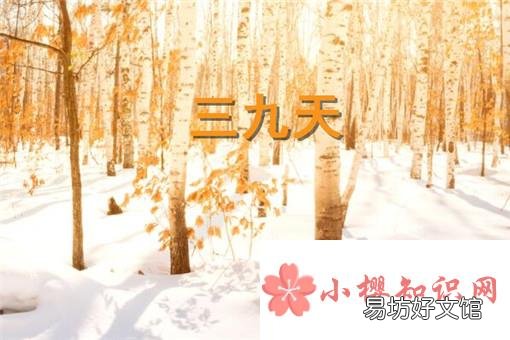 2020年三九天从什么时候开始?