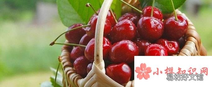 车厘子等级是怎样划分的?
