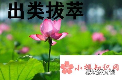 成语出类拔萃中的萃原意是指什么?