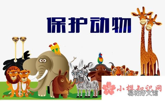 保护动物的标语有哪些?