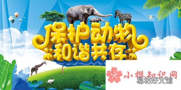保护动物的标语有哪些?