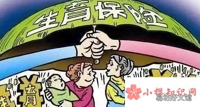 生育津贴怎么领？需要符合什么条件？