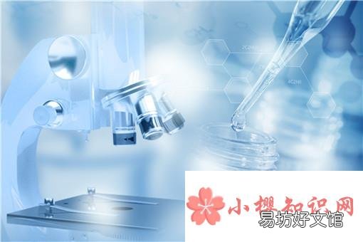 核酸检测返乡什么时候开始?
