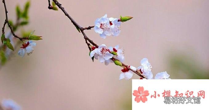 立春后天气还会冷吗？