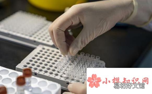 做核酸检测要带什么证件?
