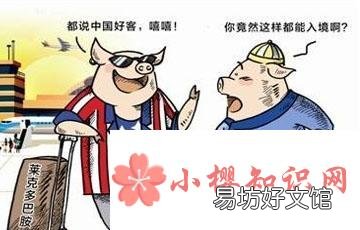 莱猪是什么意思?