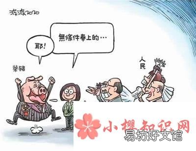 莱猪是什么意思?