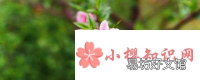 躲春是什么意思？