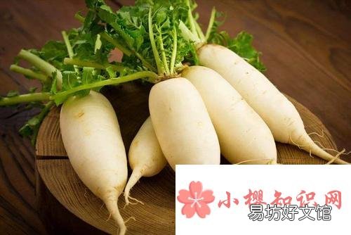立春吃萝卜啥说法？