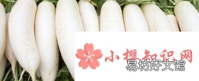 立春吃萝卜啥说法？