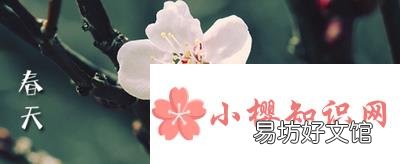 描写春天的诗有哪些？