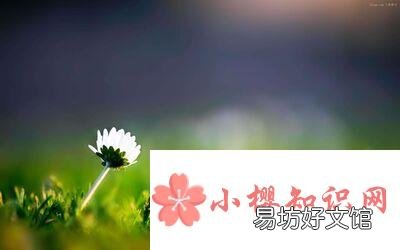描写春天的诗有哪些？