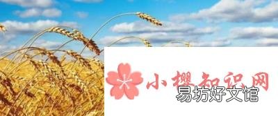 年字的起源和演变是怎样的?
