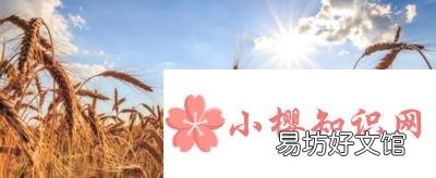 年字的起源和演变是怎样的?