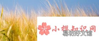 年字的起源和演变是怎样的?