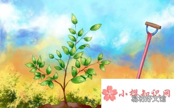 每年的植树节是什么时候?