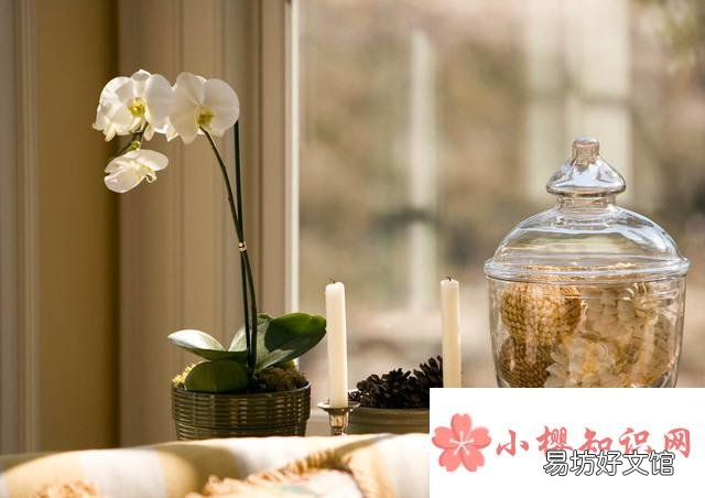 搞笑文案句子有哪些？