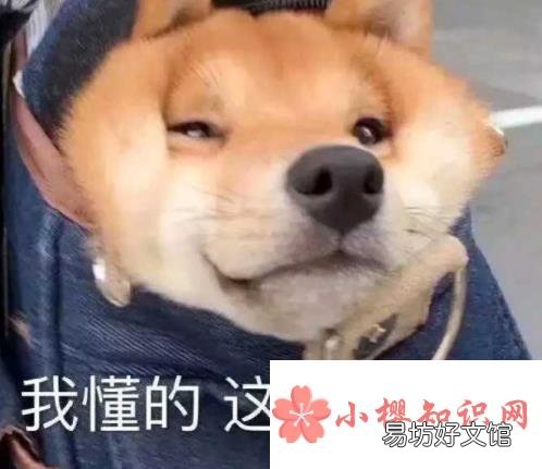 沙雕的文案句子有哪些？