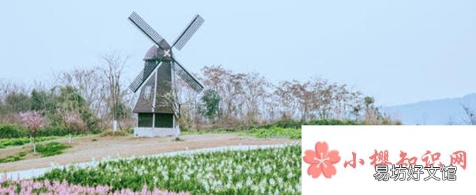 关于春暖花开的朋友圈句子有哪些?