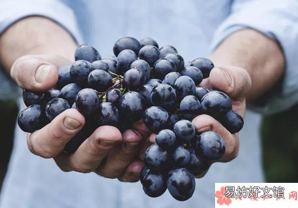 葡萄皮上有黑斑能不能吃 葡萄长斑还能吃吗