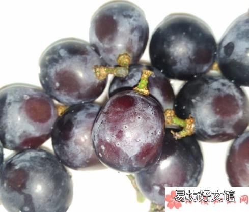 葡萄皮上有黑斑能不能吃 葡萄长斑还能吃吗
