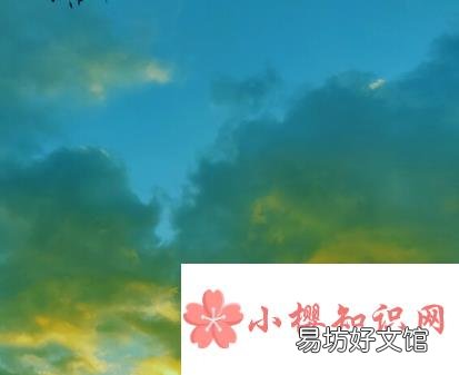 什么颜色治愈心情?