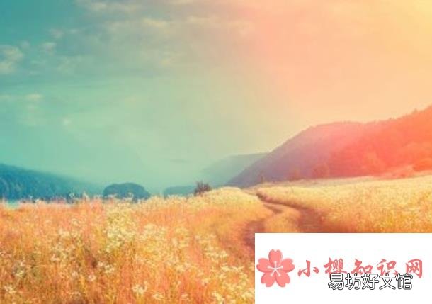 什么颜色治愈心情?