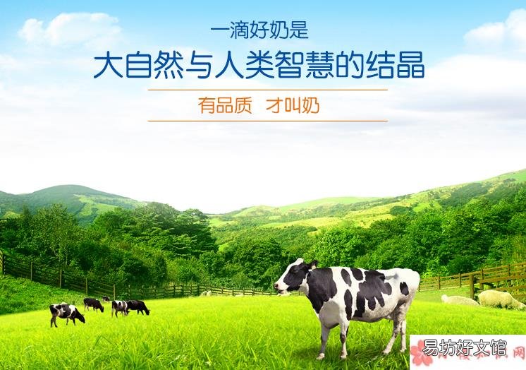 英式思美悦奶粉试用测评 英式思美悦奶粉腥不腥