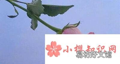 简单又有创意的店名有哪些？