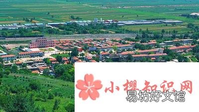 小镇上开什么店独特?