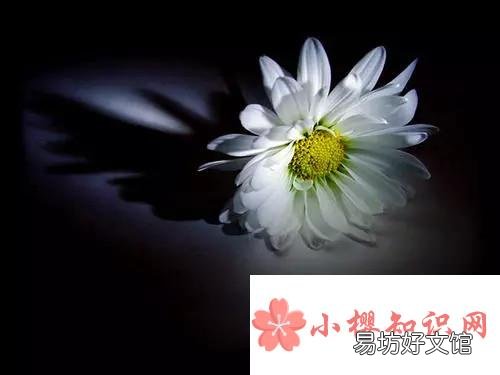 8个字的哀思寄语有哪些？