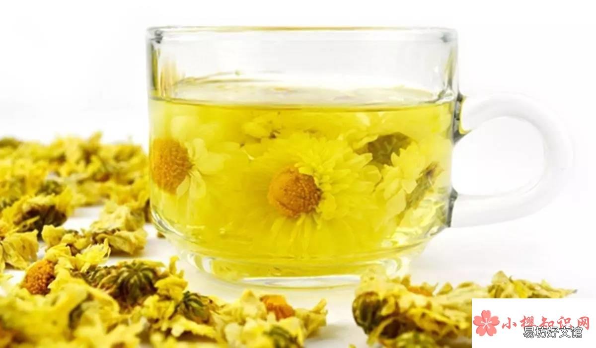 菊花泡水喝的9大禁忌有哪些?