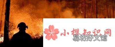 森林防火宣传内容有哪些?