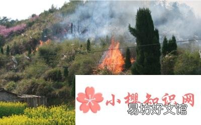 森林防火宣传内容有哪些?