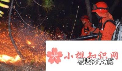 森林防火宣传内容有哪些?