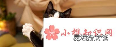 骂人不带脏字的歇后语有哪些?