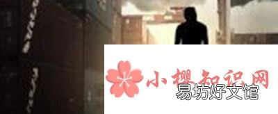 伪戒4部曲的顺序是怎样的？