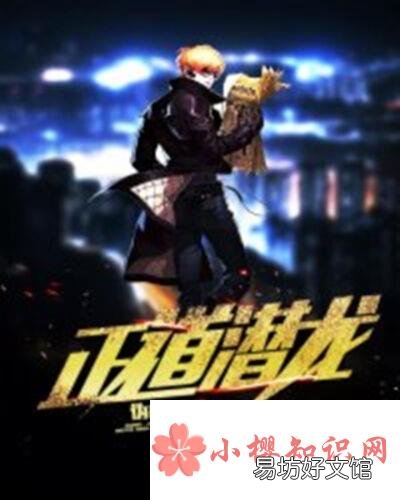 伪戒4部曲的顺序是怎样的？