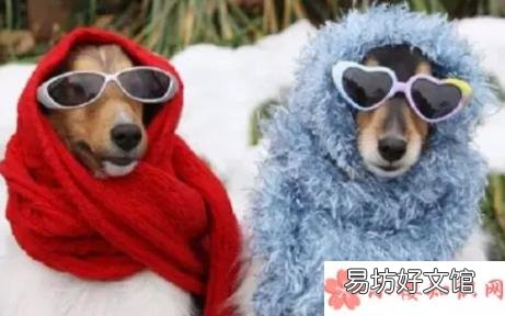 吐槽天气冷的幽默句子 2019天气冷搞笑说说带图片