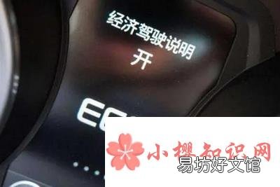 车上的eco是什么意思？