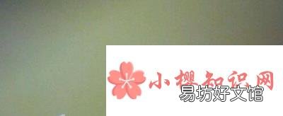 s'是什么英文的缩写?