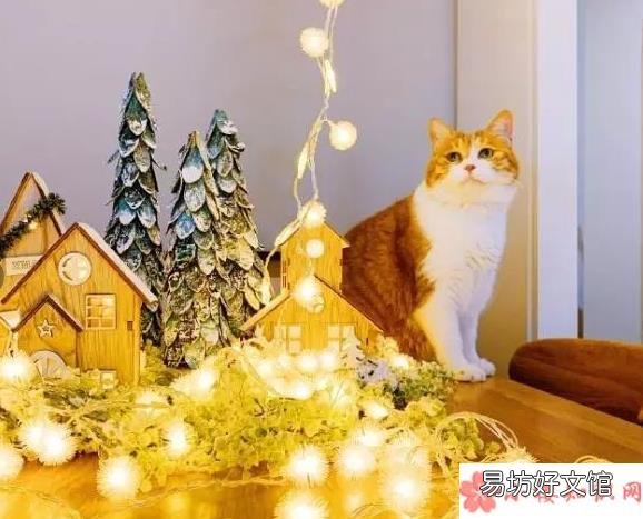 圣诞节微信朋友圈说说大全 圣诞节温馨唯美说说2019