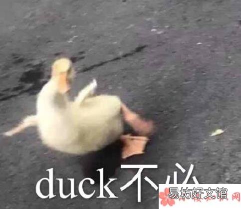 年轻人收破烂的瞬间有哪些 当代年轻人有多爱收破烂