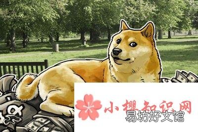 狗狗币如何购买?