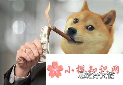 狗狗币如何购买?