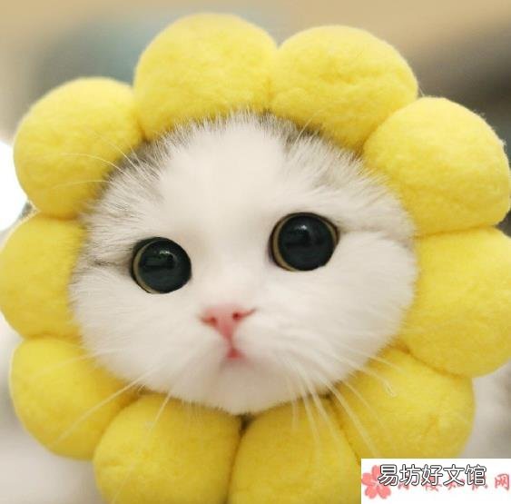 好朋友为什么会变陌生 好朋友变陌生人的原因有哪些