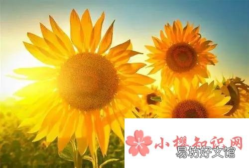 正能量文案有哪些?